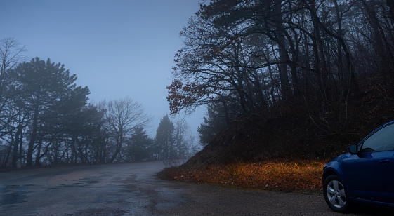 blue car headlight beams in dense mist. Driving in the Fog on the mountain road in the forest.