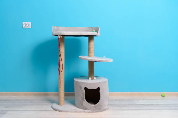 istock House for a pet cat in the room 1314059301