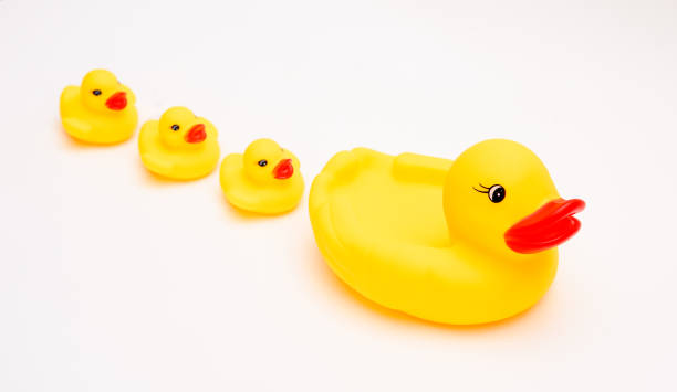 jouets jaunes de famille de canard de bain en caoutchouc - duckie photos et images de collection