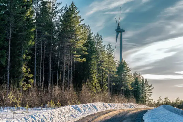Standalone wind turbine rising above pine tree forest, road with snow at sides, blue sky. Northern Sweden, ecological green energy production