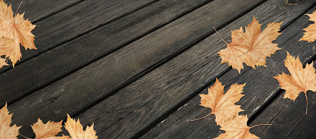 top view, dry autumn leaves standing on weathered wooden floor. close up.horizontal striped background and empty writing space