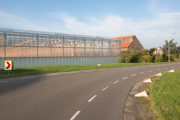 istock View on a road with greenhouses 1314065523