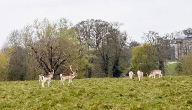 istock Shropshire's stunning Countryside looking glorious on a warm spring day 1314066977