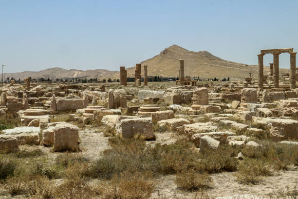 Palmyra in the Syrian desert The ancient city of Palmyra in the Syrian desert in 2020 islamic state stock pictures, royalty-free photos & images