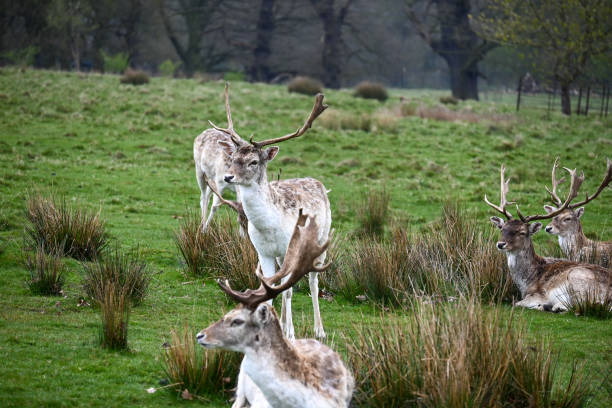 istock Shropshire's stunning Countryside looking glorious on a warm spring day 1314069411