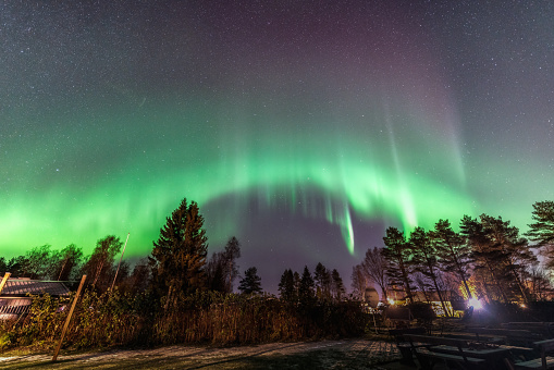 Beautiful photo of Aurora Borealis in backyard, green light ribbon covered by slight violet pink color at top. Swedish countryside - late autumn, barbeque spot, pine trees, satellite dish. Umea city