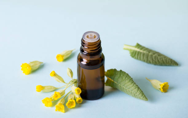 istock Primula veris (cowslip, common cowslip, cowslip primrose; syn. Primula officinalis Hill tincture oil in bottle with fresh leaf and blossoms on blue background. Alternative medicine concept. 1314071755