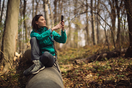 Woman traveler sitting on the tree in the woods while resting for the next part of her hike. She is using her phone to photograph beautiful nature all around her. The day is sunny and the nature is starting to wake up after the long and cold winter time.