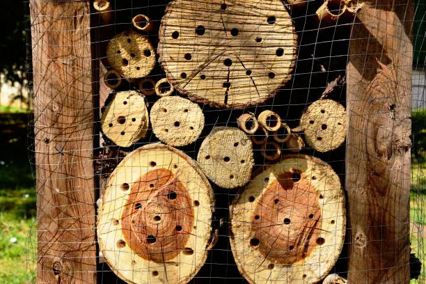 insect or bug hotel detail. cut dry tree trunk pieces. drilled holes stacked in wood frame. covered with metal fence mesh. artificial  accommodation for insects. blurred background. gardening concept