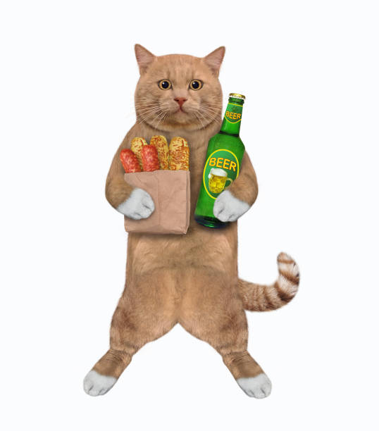 istock Cat reddish with beer and sausages 1314076127