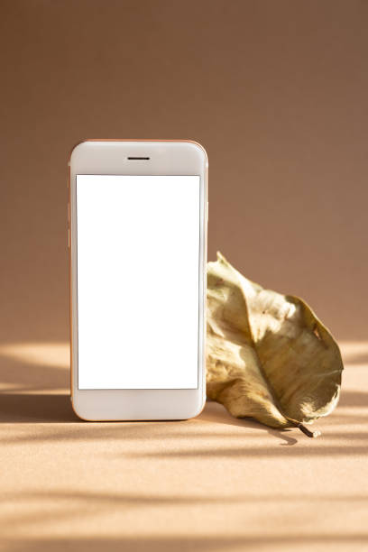 istock Mobile phone with white screen and dry leaf on brown background with dark shadows. Trend, minimal concept with copyspace 1314077790