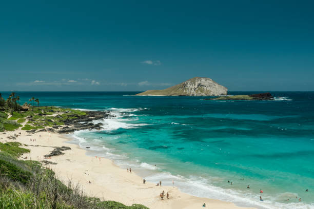 istock Makapuu Beach Park Honolulu Oahu Hawaii 1314079866
