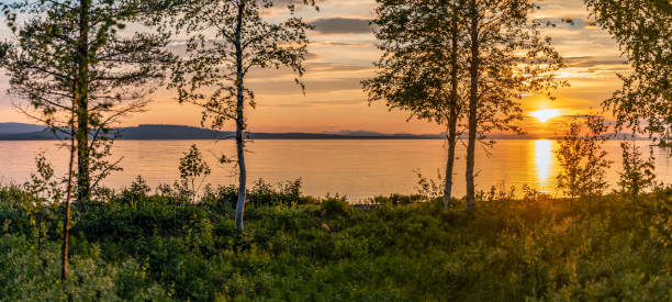 Scenic Panorama - Sunset over Umea river in mountains, summer sky with clouds highlighted by orange red Sun. Blurry foreground with trees at coastline. Sunlight path on water. Storuman, Lapland, Sweden