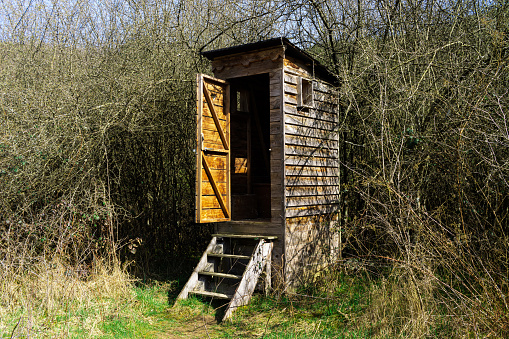 Dry toilet in the wilderness, the door is opened. The toilet stands in front of the bushes. Sunny spring day - the beginning of hiking and walking season.