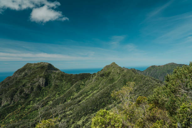 istock Waianae Valley, Mount Kaala Trail，Oahu, Hawaii 1314085133
