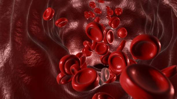 istock Three-dimensional illustration of red blood cells 1314085285