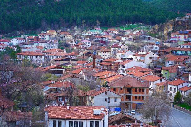 istock Traditional houses in Kastamonu, Turkey 1314086038