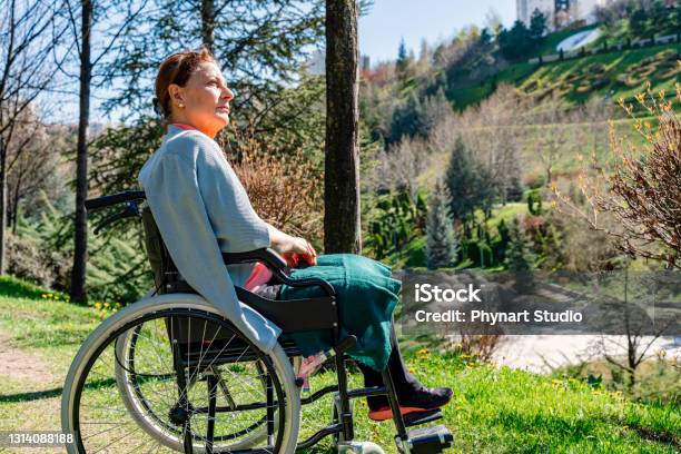 Pensive Disabled Senior Grandma Sit On Wheelchair Look Through Stock Photo - Download Image Now