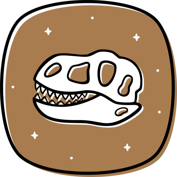 공룡 두개골 낙서 2 - paleobiology stock illustrations