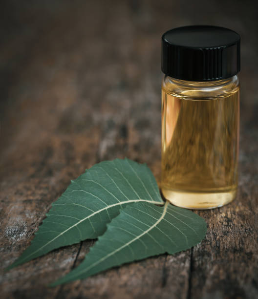 istock Medicinal neem leaves with essential oil 1314089354