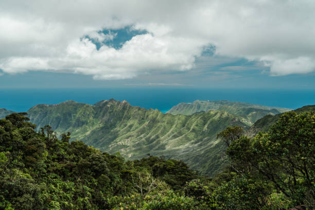 istock Waianae range, Mount Kaala Trail，Oahu, Hawaii 1314090250
