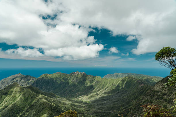 istock Waianae range, Mount Kaala Trail，Oahu, Hawaii 1314090303
