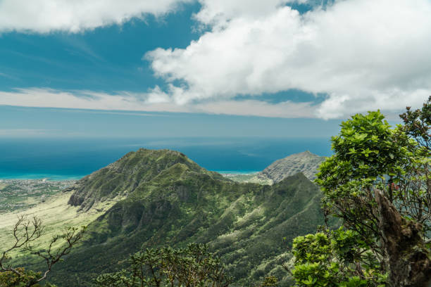 istock Waianae range, Mount Kaala Trail，Oahu, Hawaii 1314090317