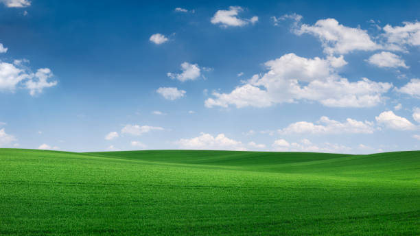 istock Panoramic spring landscape XXXXL 111 MPix - green field, blue sky 1314091293