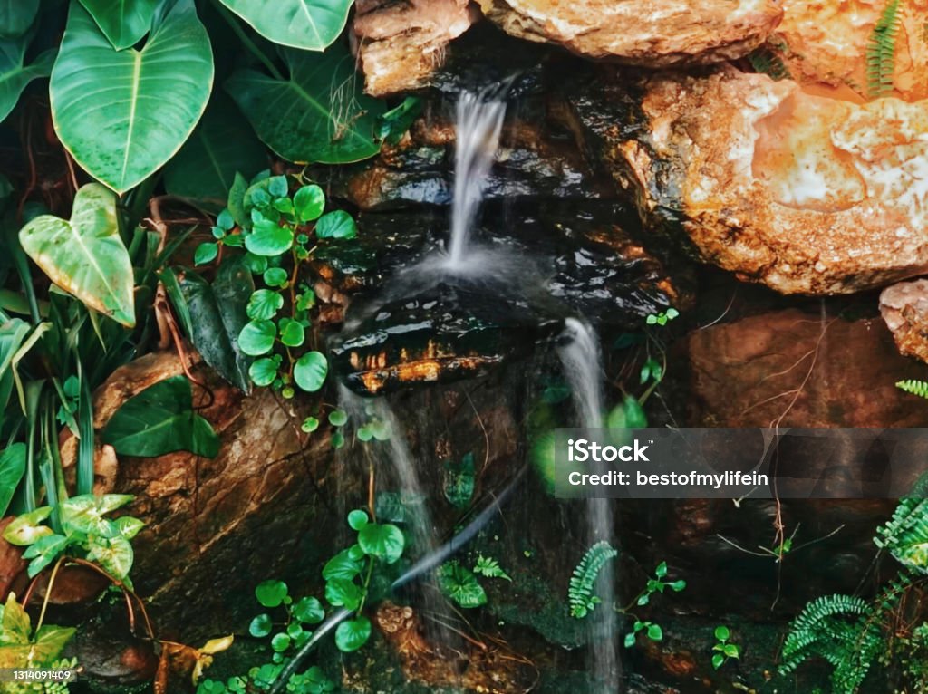 Beautiful Water Source Water Source Stock Photo - Download Image Now - Beauty, Beauty In ...