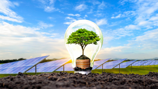 A tree growing on a silver coin in a light bulb and solar background energy saving and environment concept on earth day.