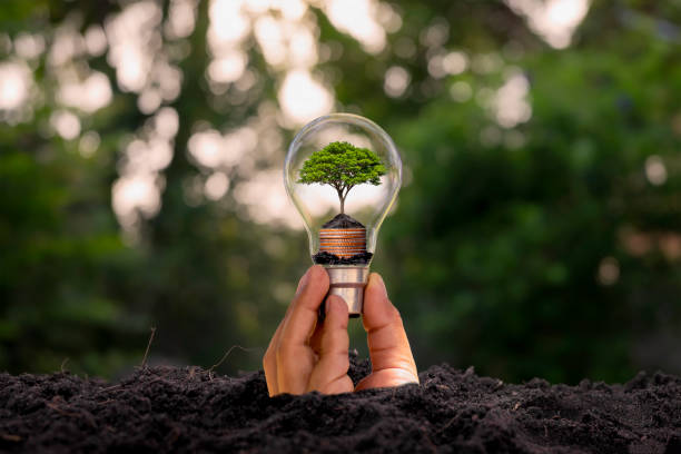 istock The hand that emerged from the ground, including a small tree growing in an energy-saving light bulb, an energy-saving and environmental protection concept. 1314093955