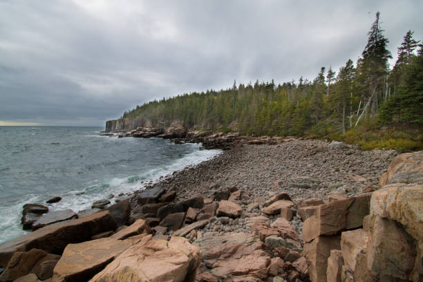istock Coastline - Acadia National Park - Maine 1314097190