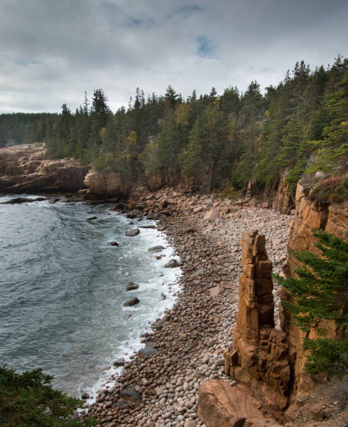 istock Monument Cove - Acadia National Park - Maine 1314097217