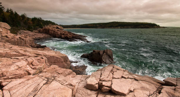 istock Otter Cliff - Acadia National Park - Maine 1314097230