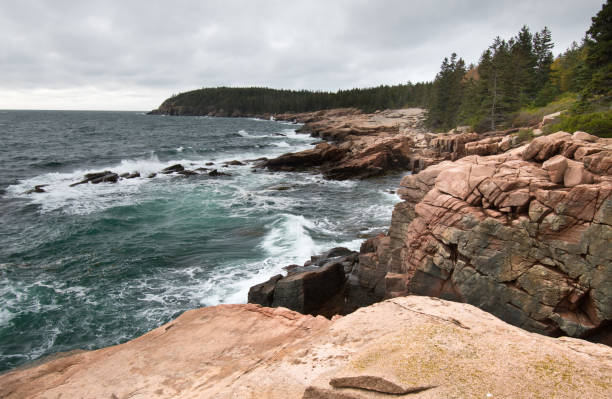 istock Otter Point - Acadia National Park - Maine 1314097232