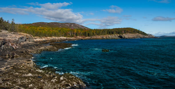 Otter Point - Acadia National Park - Maine