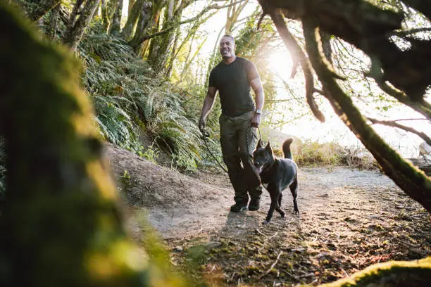 Photo of Adult Man Hiking Forest Trail With His Faithful Dog