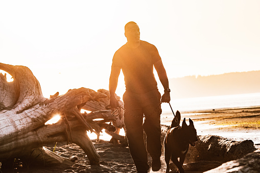 An African American man enjoys the Pacific Northwest, exploring a sunny Puget Sound beach in Washington state with his German Shepherd mix dog.  Fun adventure and discovery with his best friend.