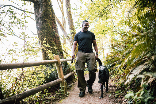 An African American man enjoys the Pacific Northwest, hiking a sunny forest trail in Washington state with his German Shepherd mix dog.  Fun adventure and discovery with his best friend.