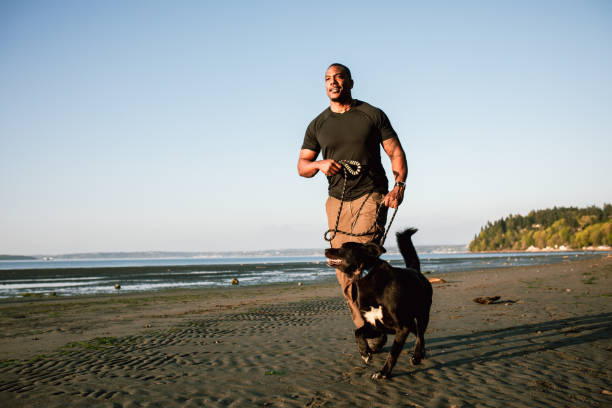 homem adulto na praia com cachorro fiel - dog leash pets playing - fotografias e filmes do acervo