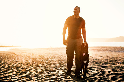 An African American man enjoys the Pacific Northwest, exploring a sunny Puget Sound beach in Washington state with his German Shepherd mix dog.  Fun adventure and discovery with his best friend.