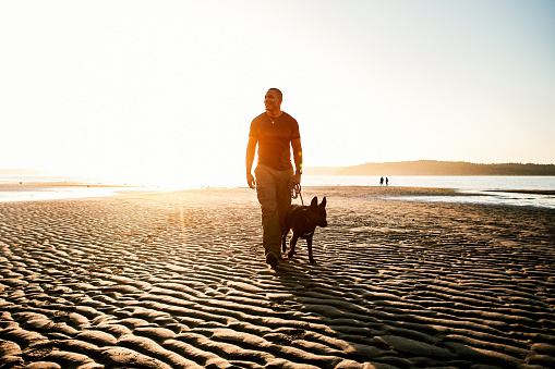 An African American man enjoys the Pacific Northwest, exploring a sunny Puget Sound beach in Washington state with his German Shepherd mix dog.  Fun adventure and discovery with his best friend.