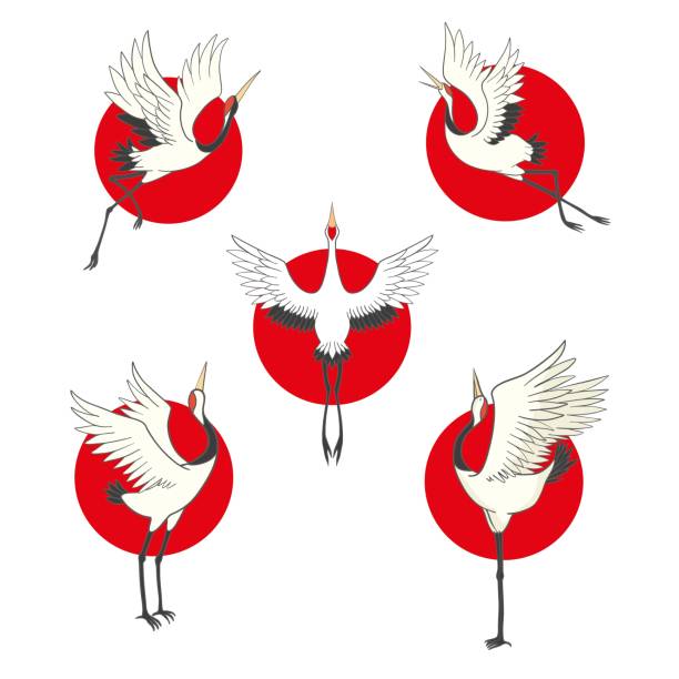 ilustraciones, imágenes clip art, dibujos animados e iconos de stock de conjunto de pájaros. grúa, cigüeña, garza. vector. - traditional culture heron bird animal