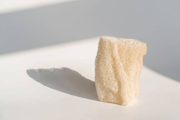 istock Loofah natural sponge on the white background. 1314099437