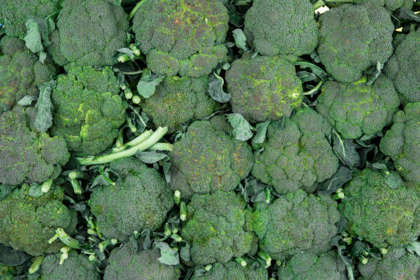 broccoli to sale on street market heap of broccoli on fruit vegetables street market, organic ecological food from local producers farmers, background. brokoli stock pictures, royalty-free photos & images