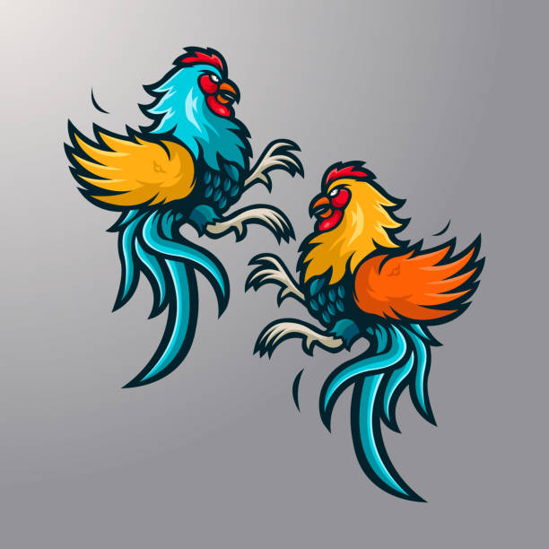 Gallos De Pelea Vectores Libres de Derechos - iStock Gallos De Pelea Vectores Libres de Derechos - iStock