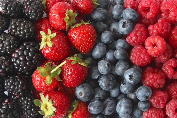 Background from a set of different berries. stock photo