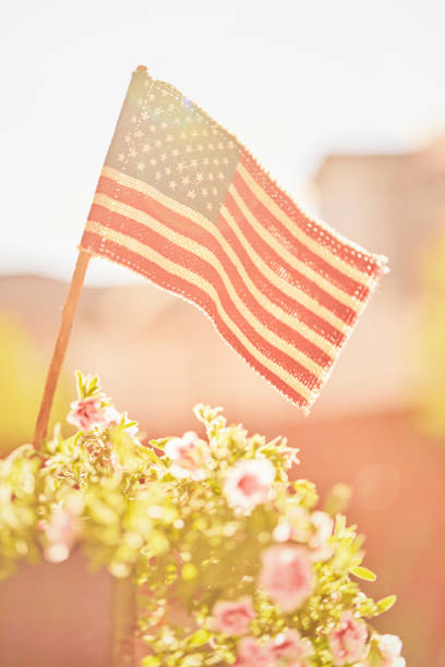 istock American flag with sunlit background 1314105898