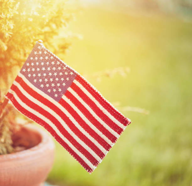 istock American flag with sunlit background 1314105899