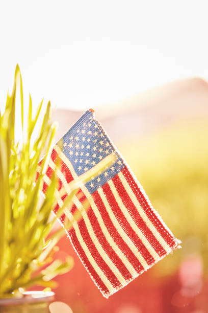 istock American flag with sunlit background 1314105900
